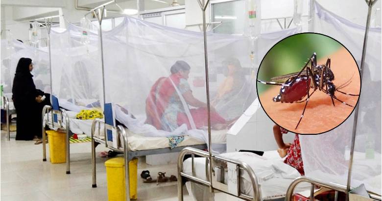 ডেঙ্গুতে ৩ জনের মৃত্যু, হাসপাতালে ভর্তি ৪৭৩