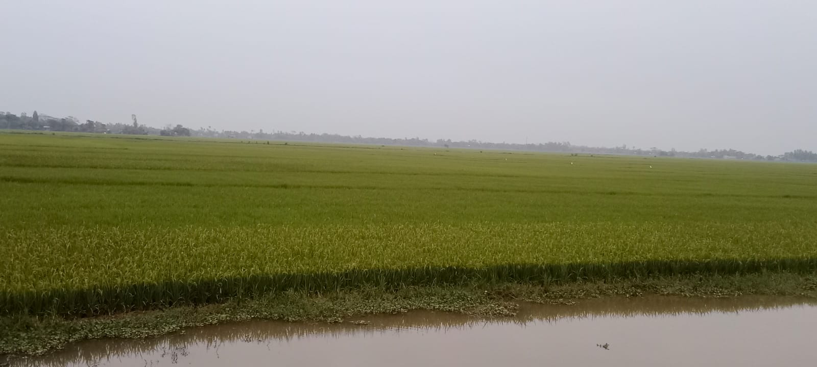 সুনামগঞ্জ পাউবোর সকল কর্মকর্তা ও কর্মচারীর ঈদের ছুটি বাতিল