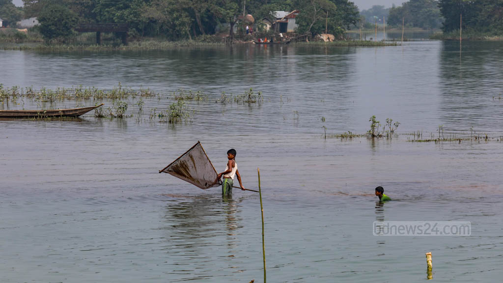 হাওরাঞ্চলে নদ-নদীর পানি বাড়লেও ‘বন্যার শঙ্কা নেই’