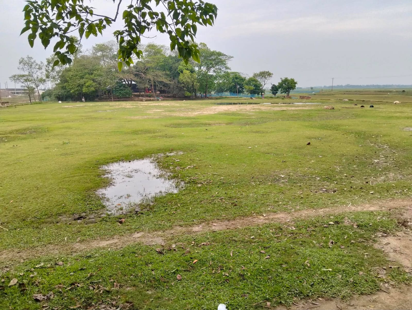 শাল্লায় বিদ্যালয়ের মাঠ লিজ ! সংস্কার না করায় ক্ষোভ  