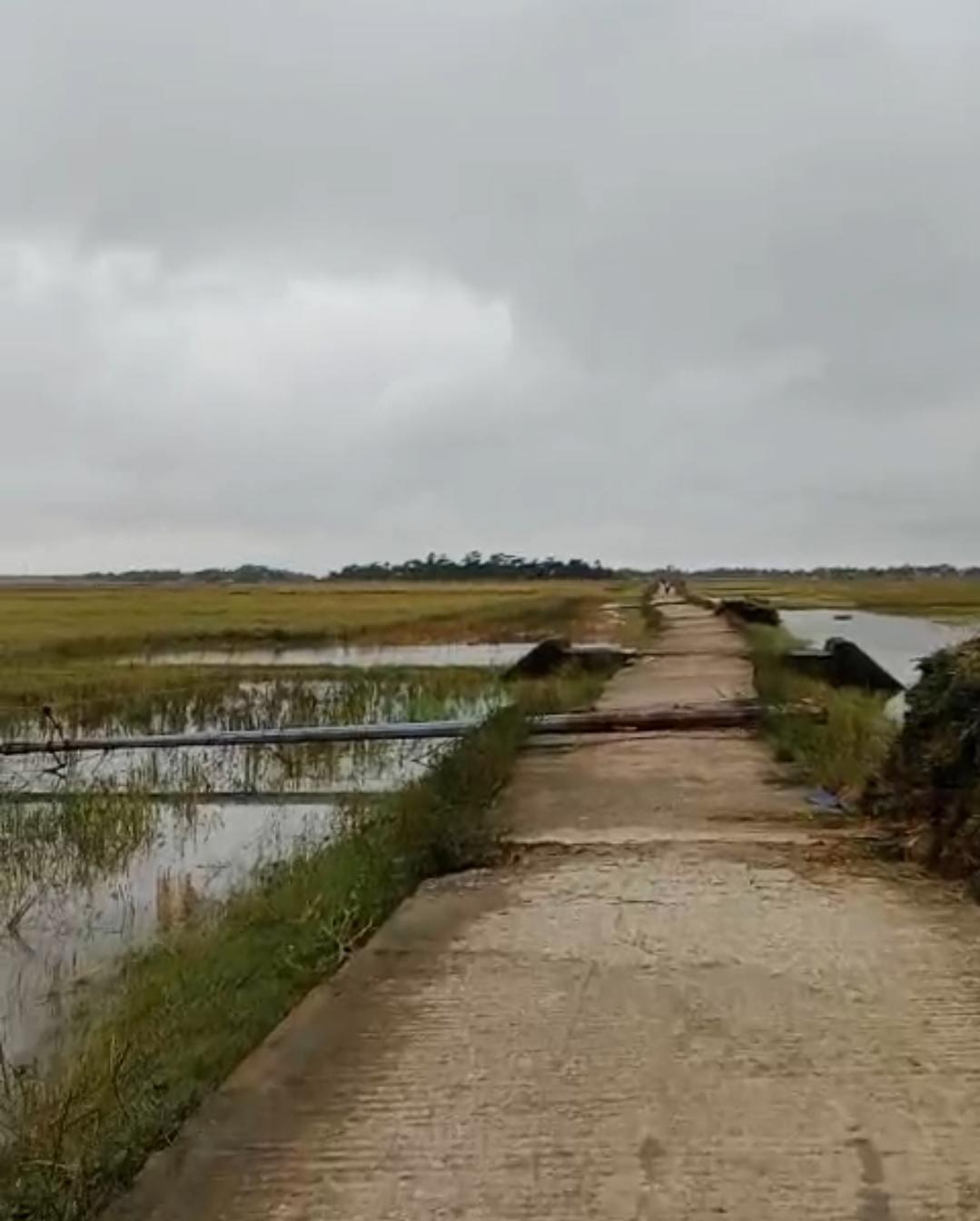 তিন দিন ধরে অন্ধকারে শাল্লা উপজেলা সদর