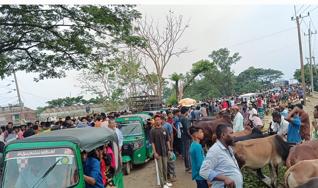 সুনামগঞ্জ-জগন্নাথপুর সড়কে গরু বাজার, যানজটের সৃষ্টি