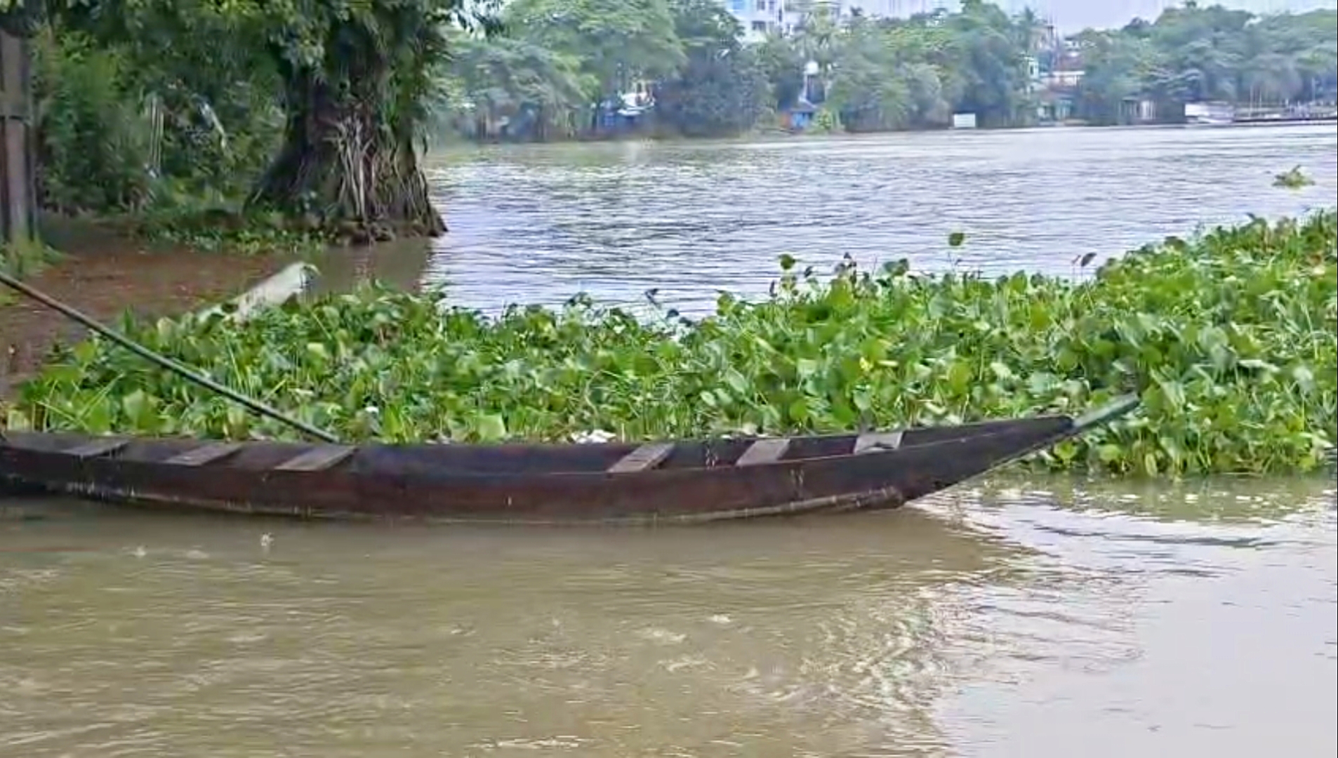লাউয়ারগড়ে ১৪০, সুনামগঞ্জে ১১০ মিমি বৃষ্টি, আবারও বাড়ছে নদ-নদীর পানি